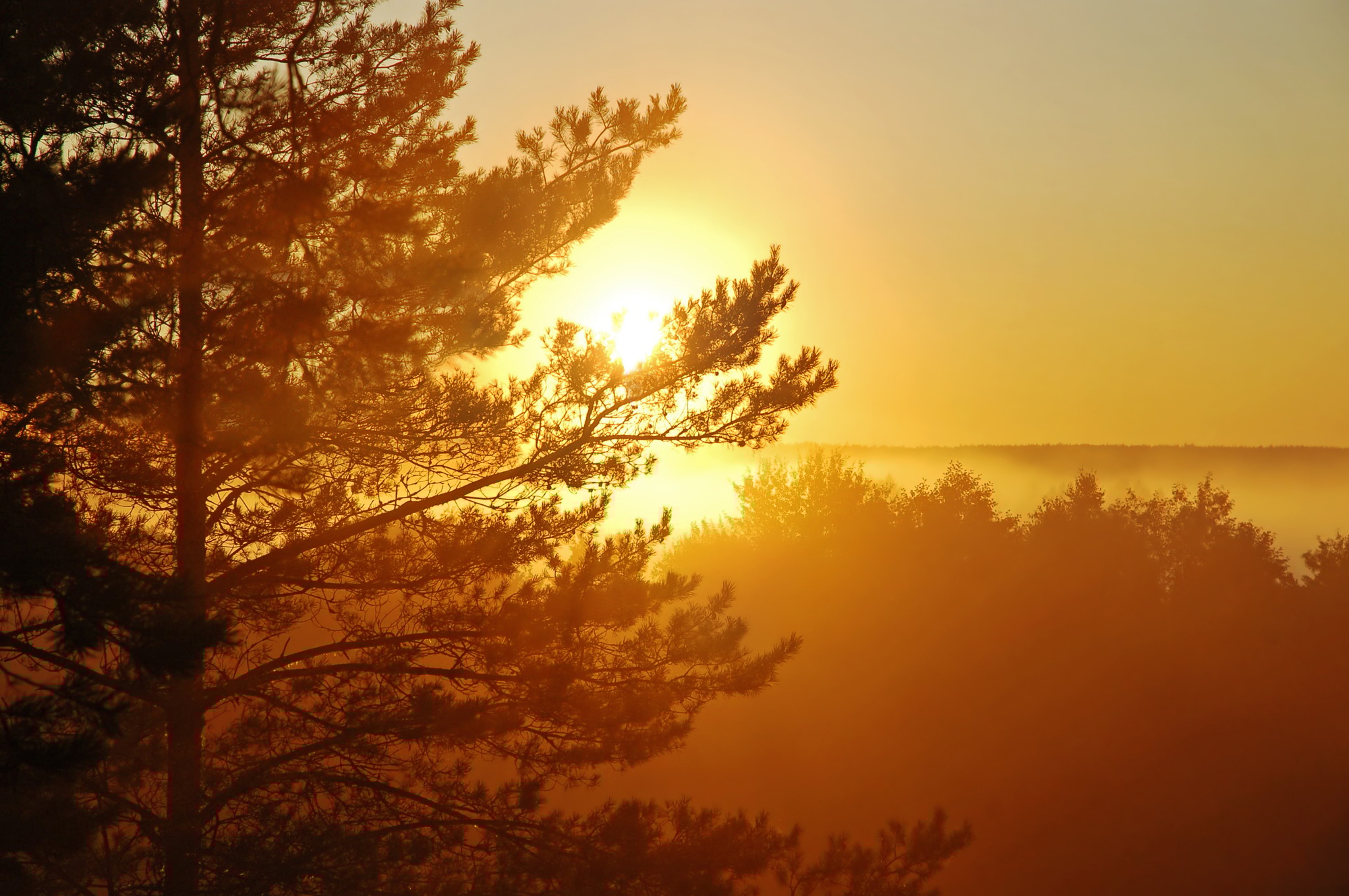 Beautiful sunrise